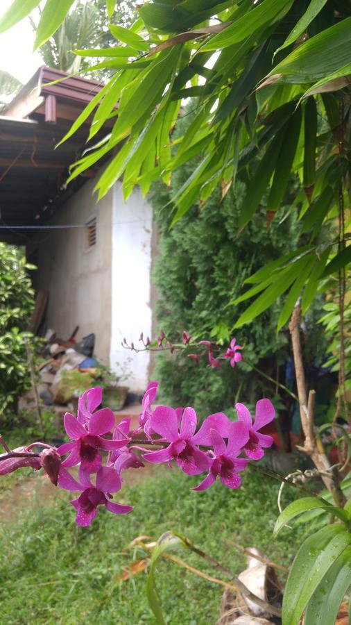 Ananda Home Stay And Restaurant Tangalle Ngoại thất bức ảnh